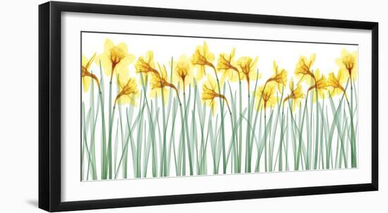 Floral Delight I-Jim Wehtje-Framed Giclee Print