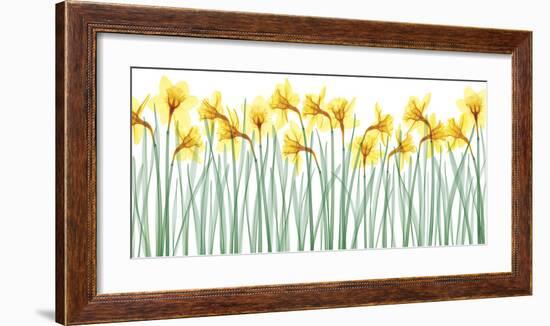 Floral Delight I-Jim Wehtje-Framed Giclee Print