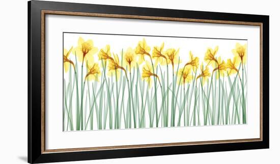 Floral Delight I-Jim Wehtje-Framed Giclee Print