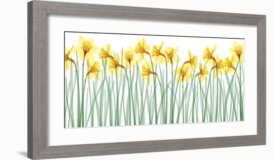 Floral Delight I-Jim Wehtje-Framed Giclee Print
