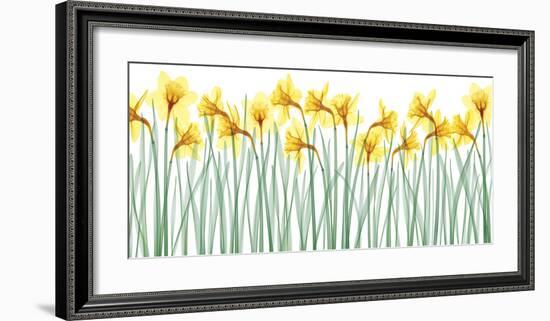 Floral Delight I-Jim Wehtje-Framed Giclee Print