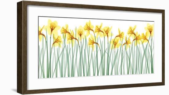 Floral Delight I-Jim Wehtje-Framed Giclee Print