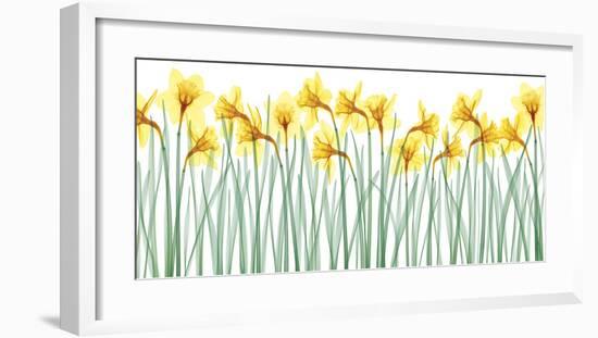 Floral Delight I-Jim Wehtje-Framed Giclee Print