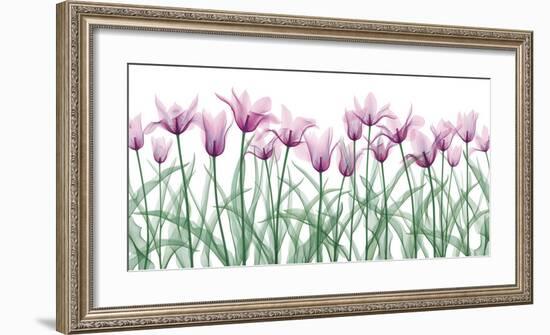 Floral Delight II-Jim Wehtje-Framed Giclee Print