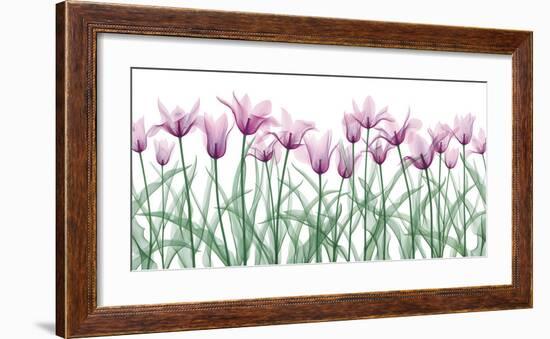 Floral Delight II-Jim Wehtje-Framed Giclee Print