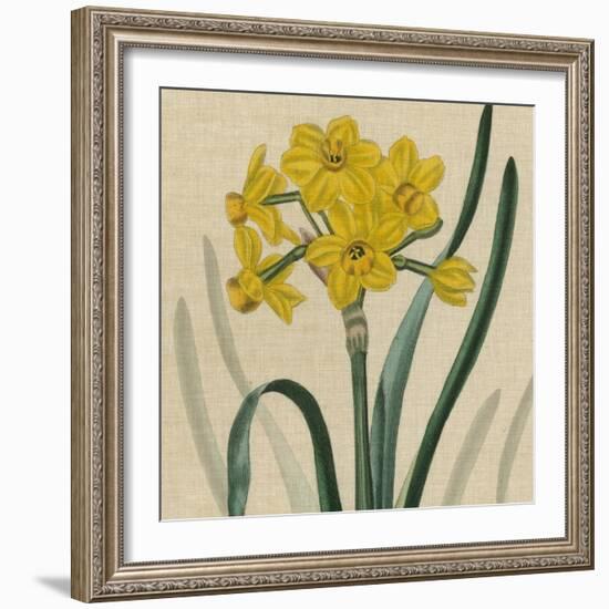 Floral Delight III-Vision Studio-Framed Art Print