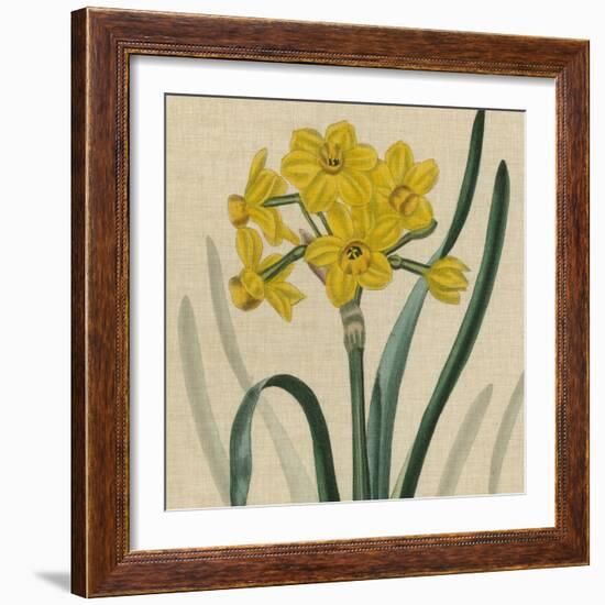 Floral Delight III-Vision Studio-Framed Art Print