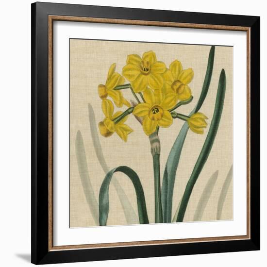 Floral Delight III-Vision Studio-Framed Art Print