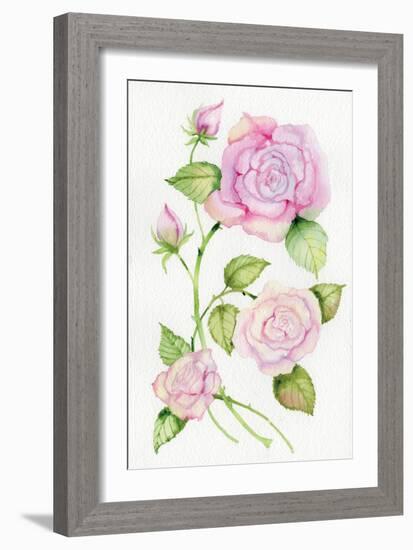 Floral Delight IV-Kathleen Parr McKenna-Framed Art Print