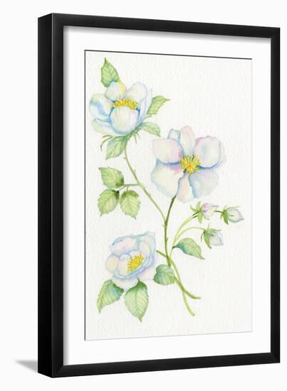 Floral Delight V-Kathleen Parr McKenna-Framed Art Print