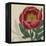 Floral Delight V-Vision Studio-Framed Stretched Canvas