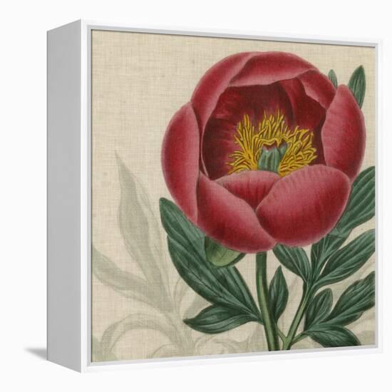 Floral Delight V-Vision Studio-Framed Stretched Canvas