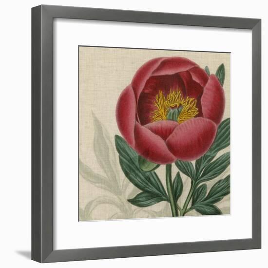 Floral Delight V-Vision Studio-Framed Art Print