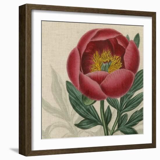 Floral Delight V-Vision Studio-Framed Art Print