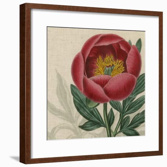 Floral Delight V-Vision Studio-Framed Art Print