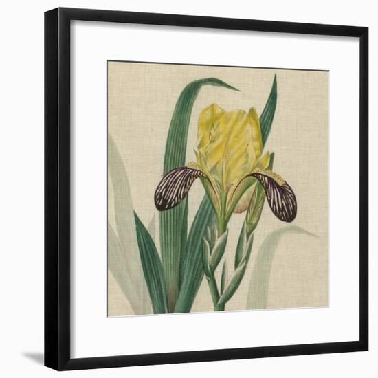 Floral Delight VII-Vision Studio-Framed Art Print