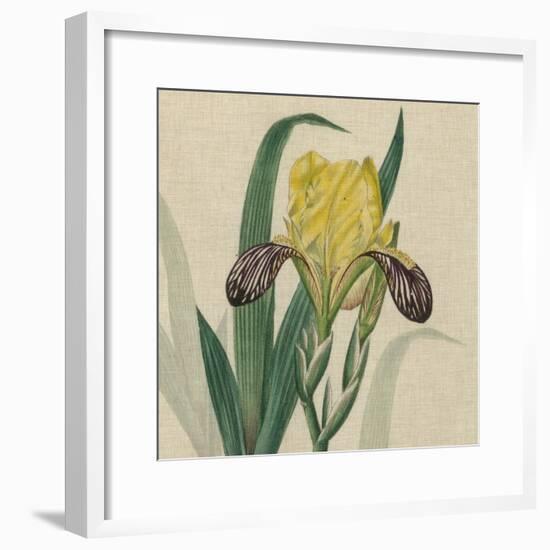 Floral Delight VII-Vision Studio-Framed Art Print