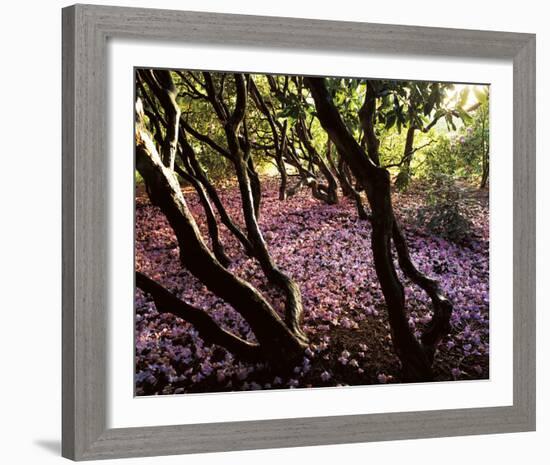 Floral Descent-Bent Rej-Framed Giclee Print