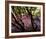 Floral Descent-Bent Rej-Framed Giclee Print