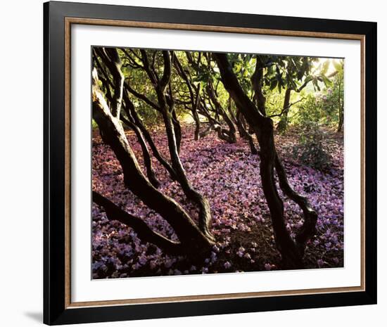 Floral Descent-Bent Rej-Framed Giclee Print