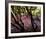 Floral Descent-Bent Rej-Framed Giclee Print