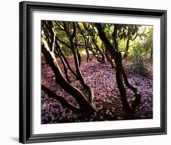 Floral Descent-Bent Rej-Framed Giclee Print