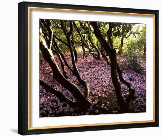 Floral Descent-Bent Rej-Framed Giclee Print