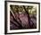 Floral Descent-Bent Rej-Framed Giclee Print