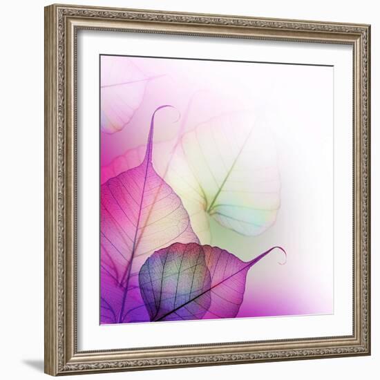 Floral Design-Subbotina Anna-Framed Art Print