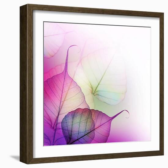 Floral Design-Subbotina Anna-Framed Art Print