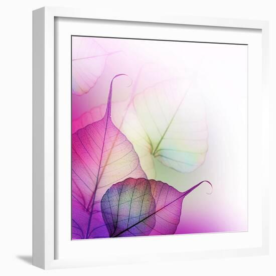 Floral Design-Subbotina Anna-Framed Art Print