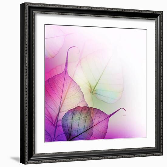 Floral Design-Subbotina Anna-Framed Art Print