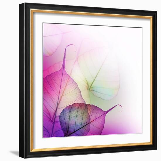 Floral Design-Subbotina Anna-Framed Art Print