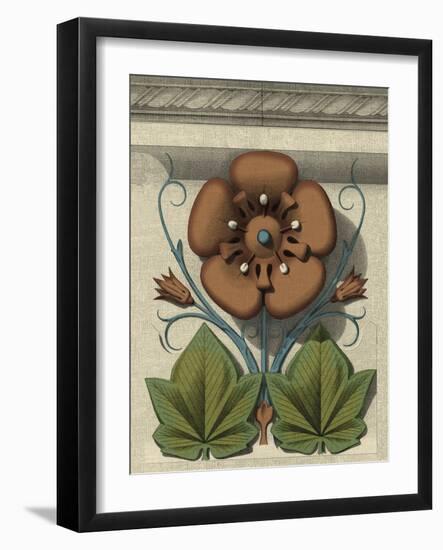 Floral Detail I-Vision Studio-Framed Art Print