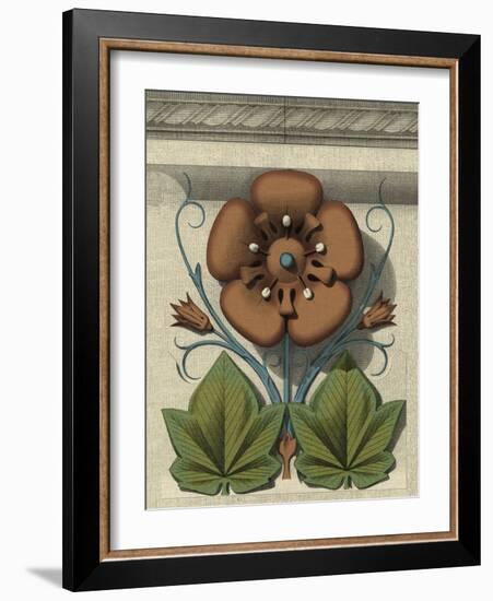 Floral Detail I-Vision Studio-Framed Art Print