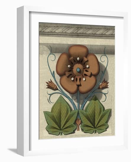 Floral Detail I-Vision Studio-Framed Art Print