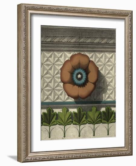 Floral Detail II-Vision Studio-Framed Art Print