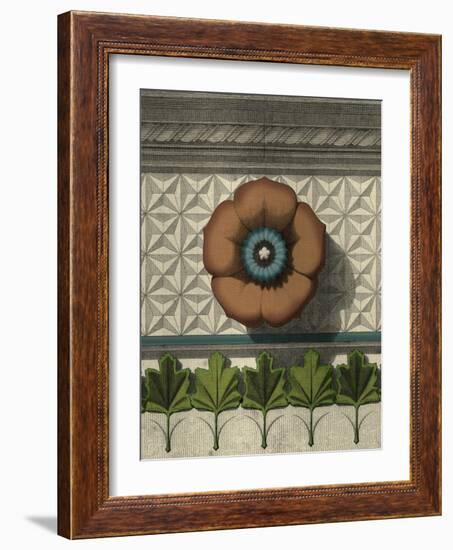 Floral Detail II-Vision Studio-Framed Art Print