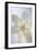 Floral Diffusion-Staffan Widstrand-Framed Giclee Print