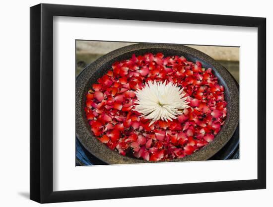 Floral Display in the Lobby of the Dusit Thanis Hotel Dubai, Uae-Michael DeFreitas-Framed Photographic Print