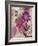 Floral Dreams 2-Matina Theodosiou-Framed Art Print