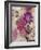 Floral Dreams 2-Matina Theodosiou-Framed Art Print