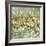 Floral Dreams-Mark Chandon-Framed Giclee Print