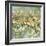 Floral Dreams-Mark Chandon-Framed Giclee Print