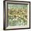 Floral Dreams-Mark Chandon-Framed Giclee Print