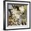 Floral Eclipse I-Paul Duncan-Framed Giclee Print