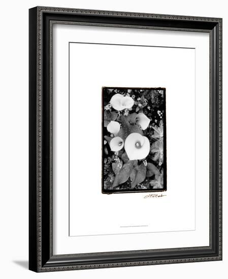 Floral Elegance II-Laura Denardo-Framed Art Print