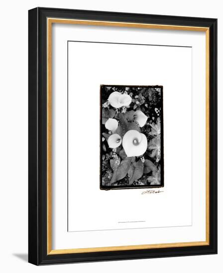 Floral Elegance II-Laura Denardo-Framed Art Print