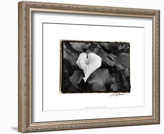 Floral Elegance III-Laura Denardo-Framed Art Print