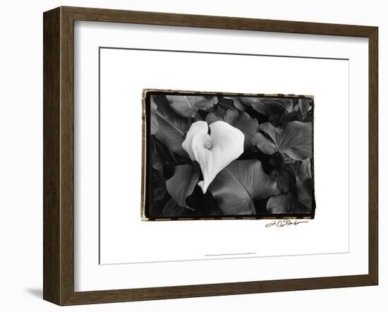 Floral Elegance III-Laura Denardo-Framed Art Print